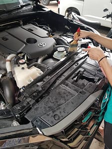 Engine Bay Cleaning 